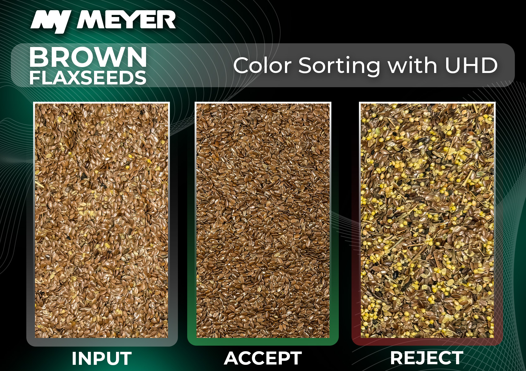 MEYER UHD color sorting of brown flaxseeds showing input material, accepted product, and rejected impurities after optical sorting.