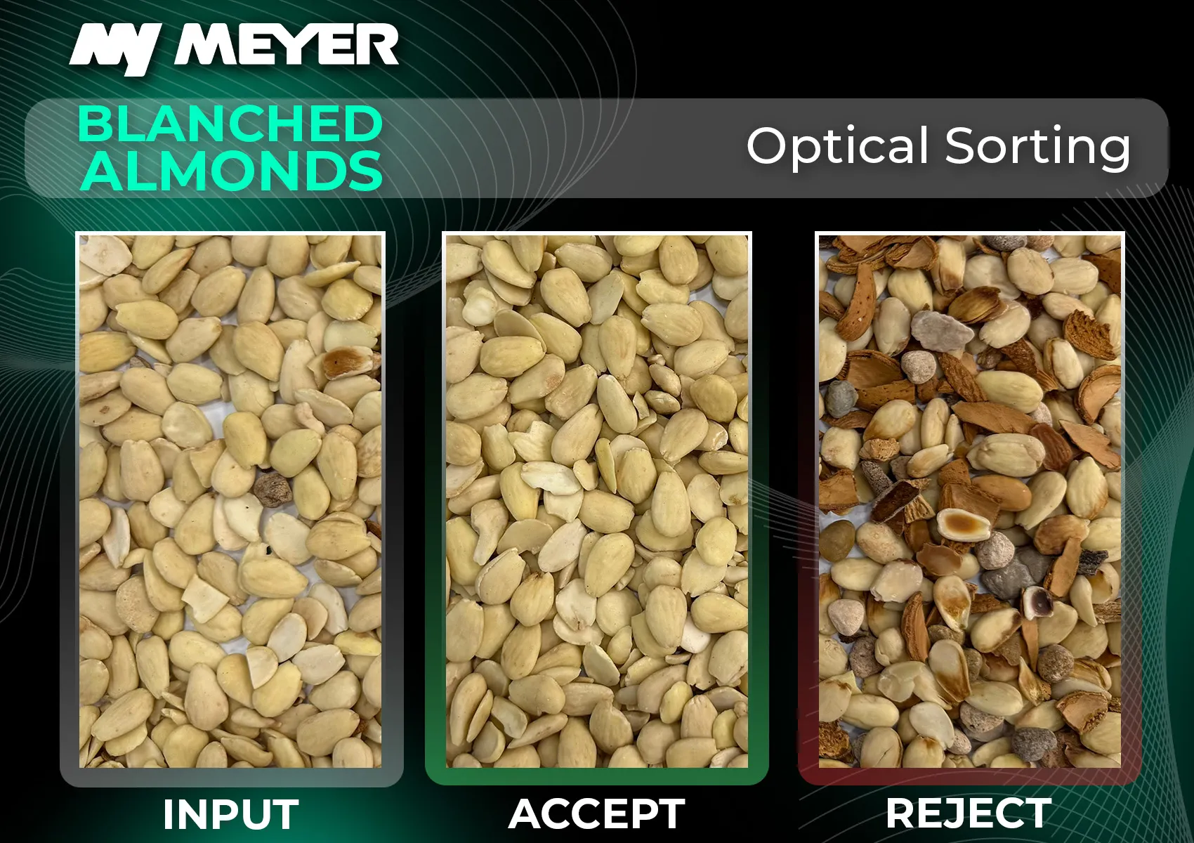 MEYER optical sorting technology for blanched almonds, comparing incoming product, cleaned accepted almonds, and rejected material containing shells, damaged kernels, and foreign matter.