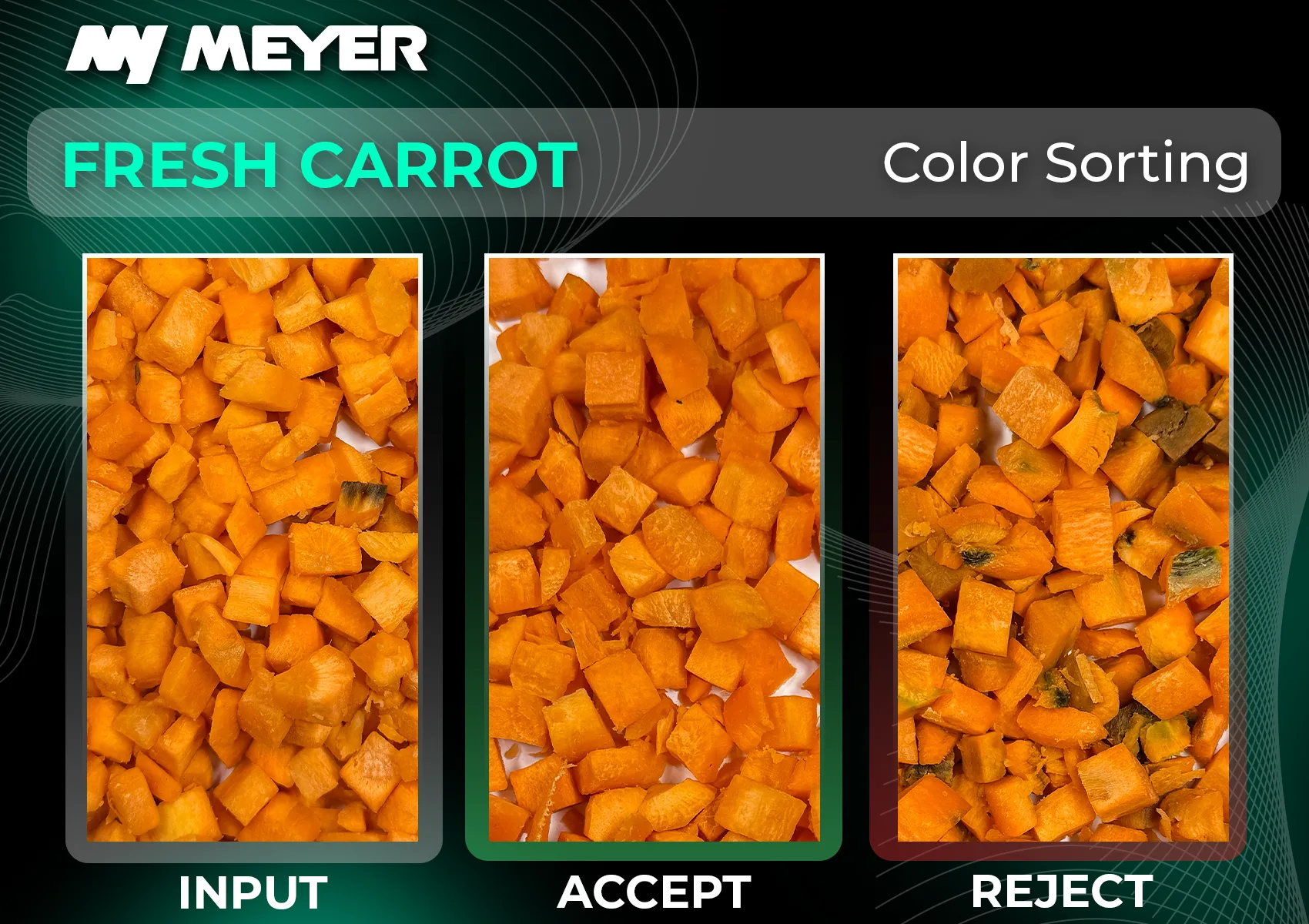 Comparison of fresh diced carrot color sorting results showing input material, accepted product and rejected fraction after optical sorting by Meyer.