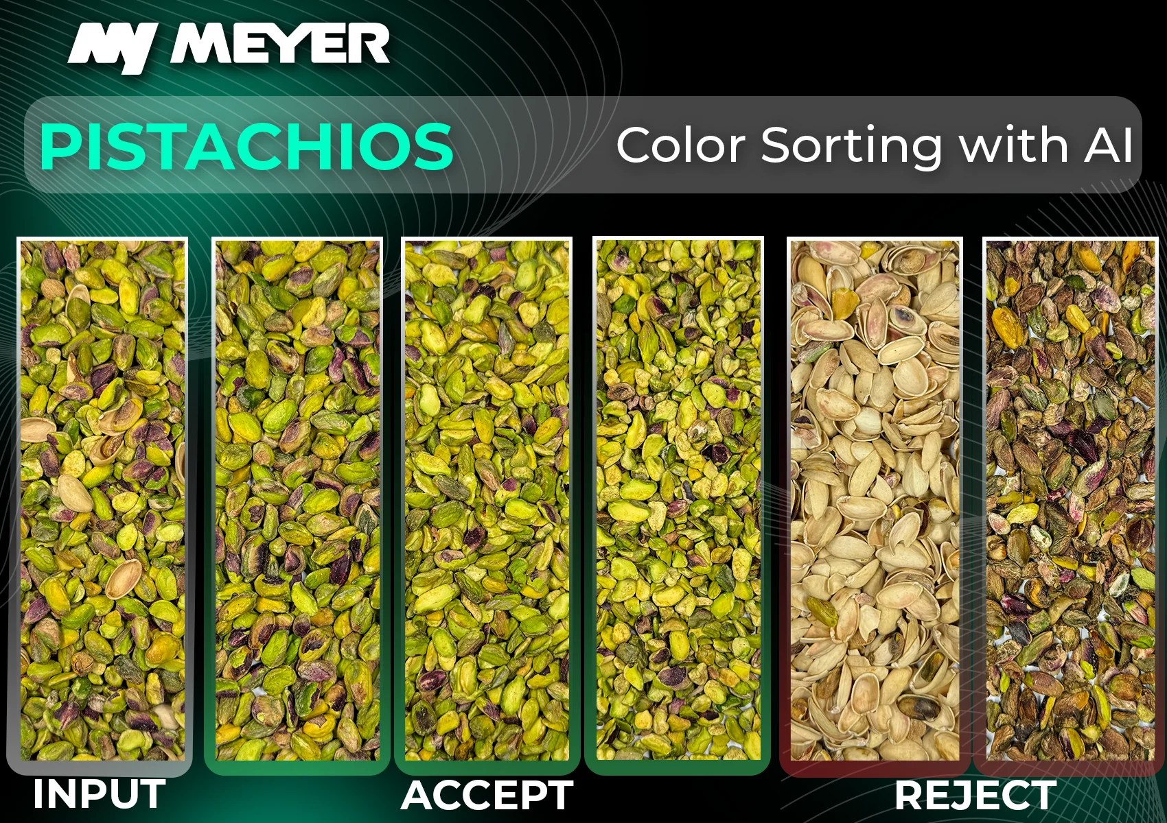 Pistachio sorting results