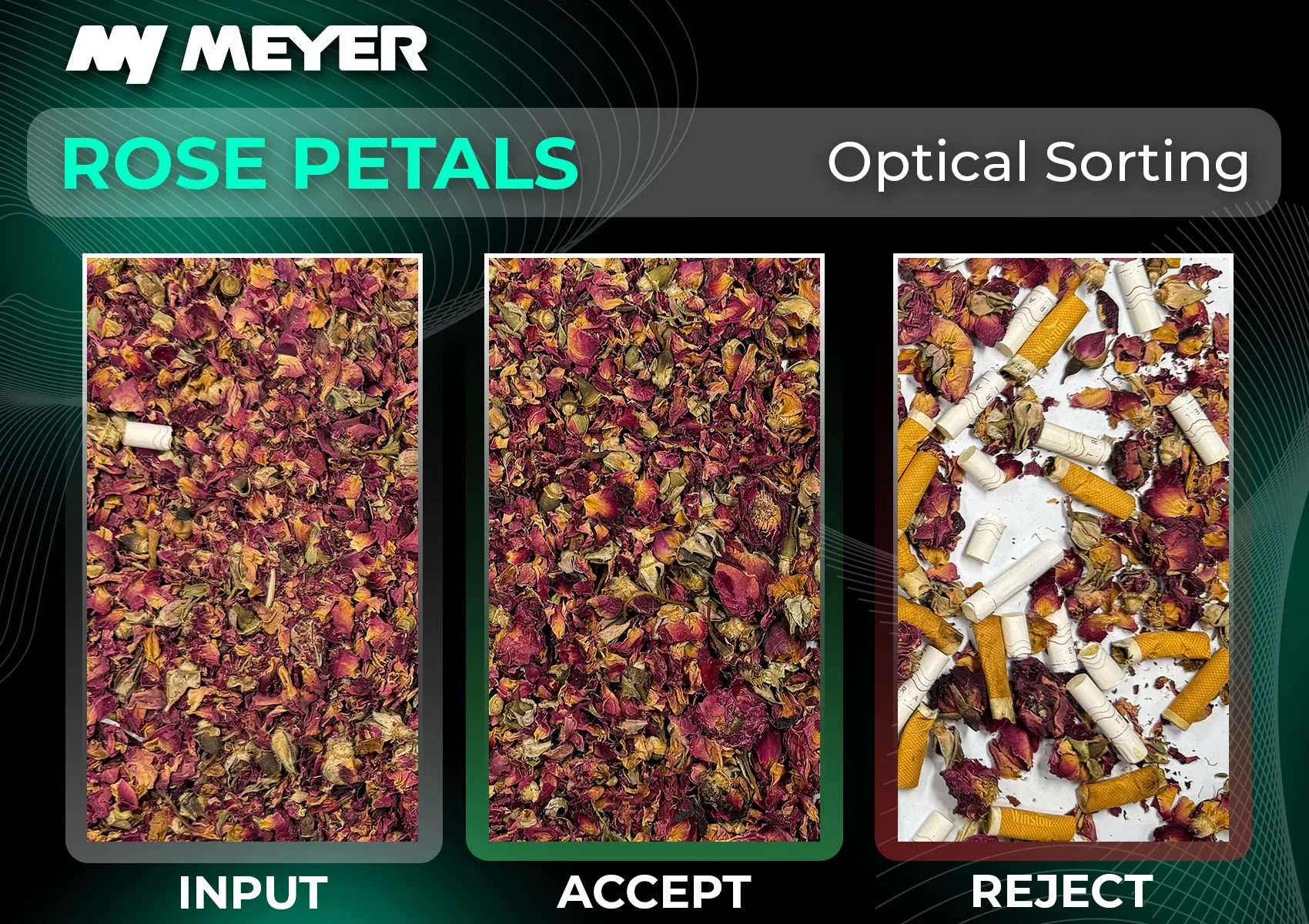 Optical sorting results for dried rose petals using a MEYER optical sorter. The image shows the input material, accepted clean rose petals, and the rejected fraction containing cigarette filters and other unwanted material.