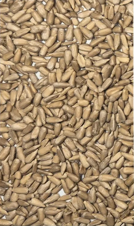 Sunflower seeds Input before sorting Image