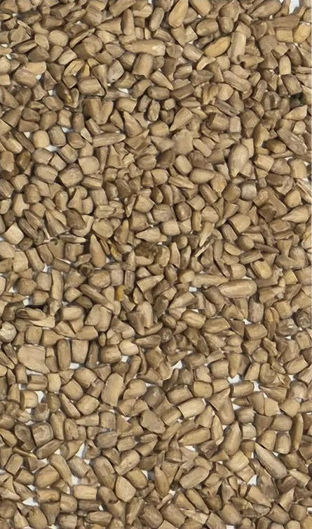 Sunflower seeds Reject after sorting Image