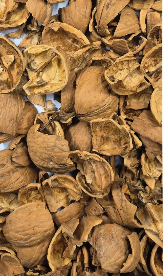 Walnuts Reject after sorting Image